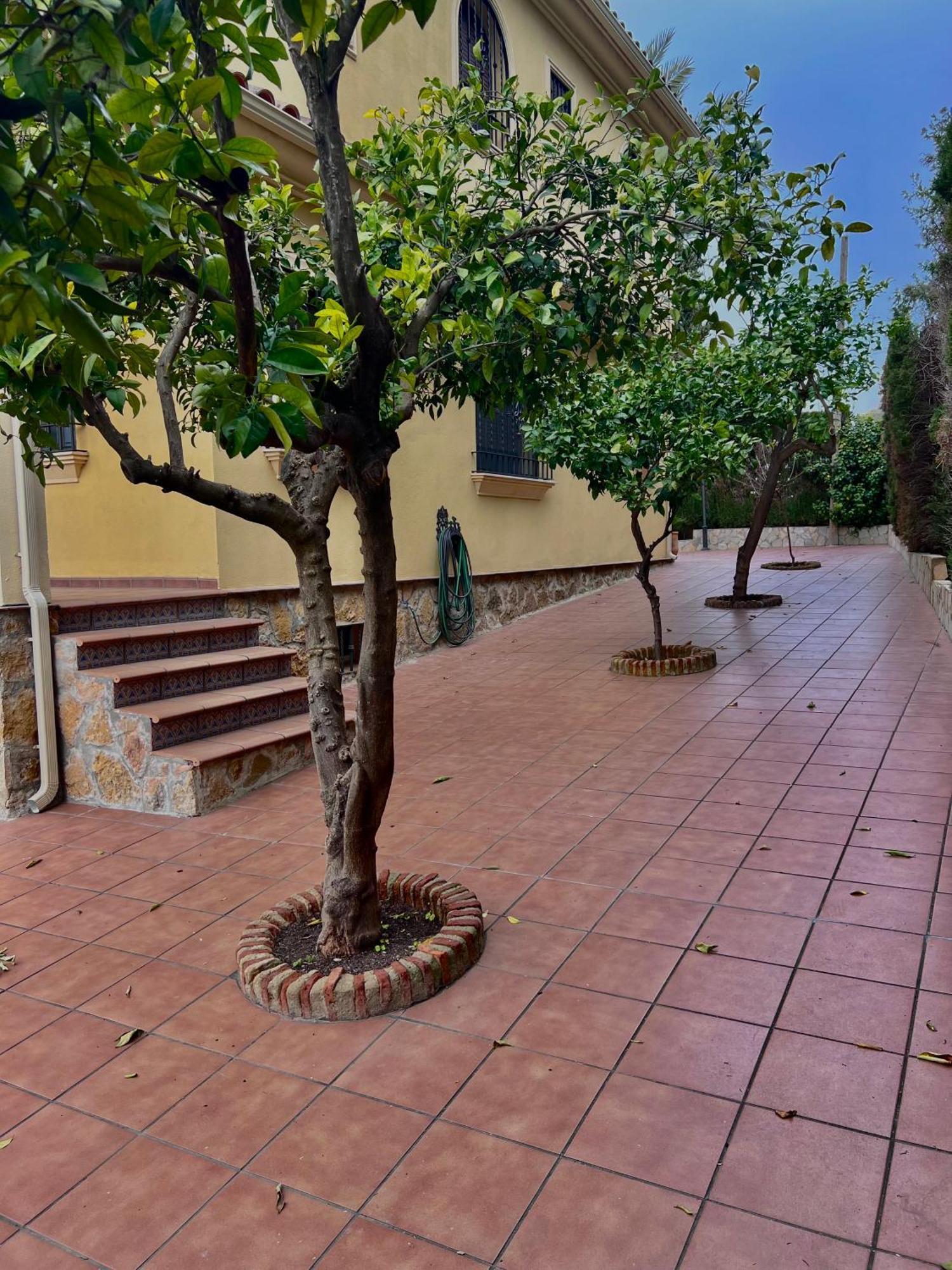 El Carmen Villa Cordoba Ngoại thất bức ảnh